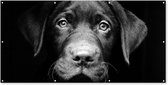Schuttingposter Hond - Licht - Zwart - 200x100 cm - Tuindoek