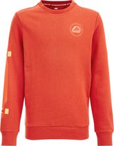 WE Fashion Jongens sweater met opdruk