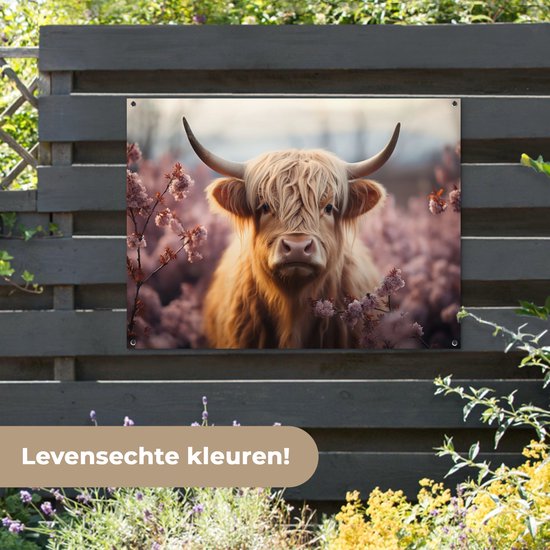 Schotse hooglander met bloemen op een schutting, met tekst "Levensechte kleuren!".