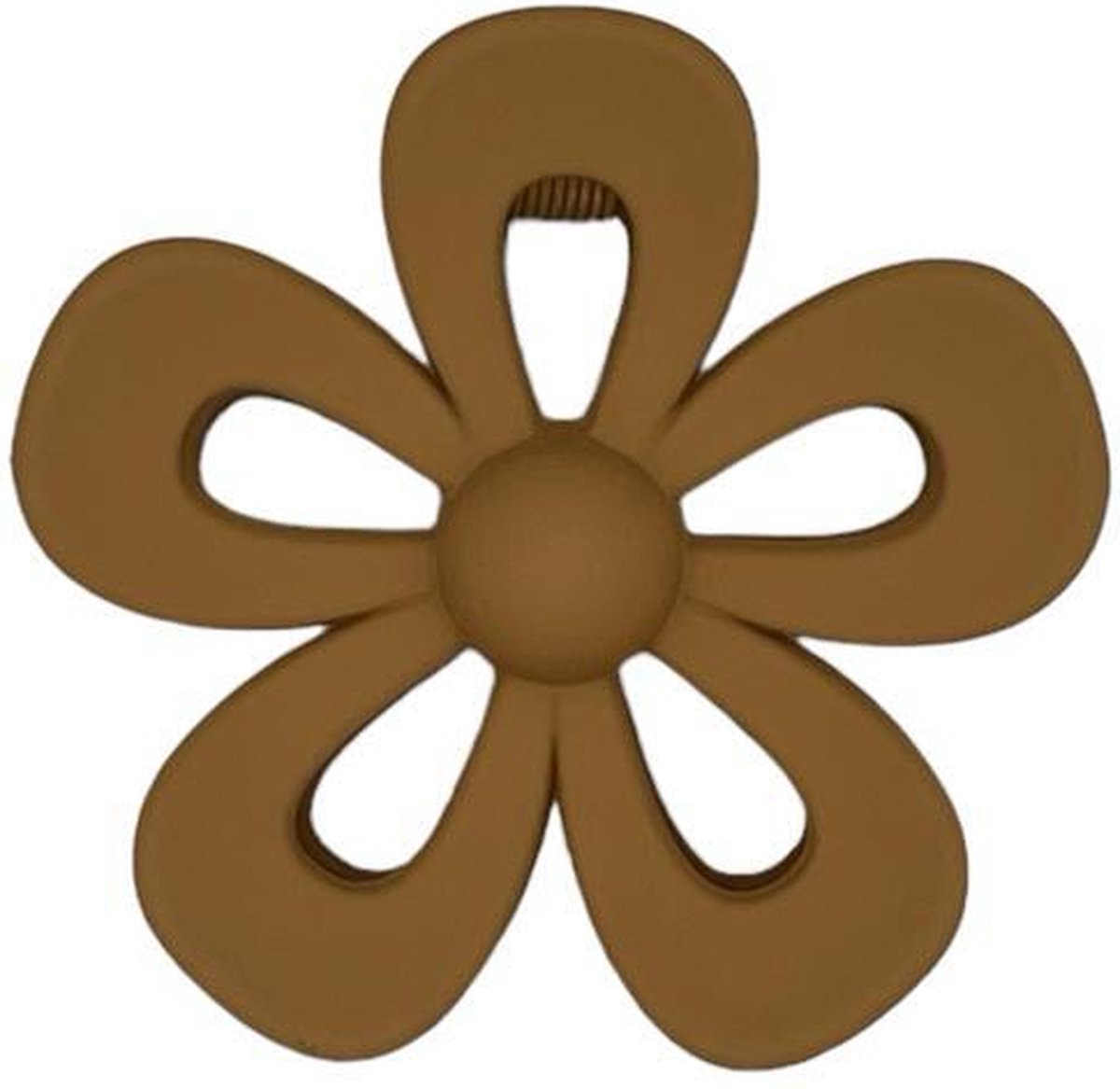 Haarklem - haarklauw - open bloem - flower - khaki