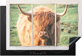 KitchenYeah® Inductie beschermer 77x51 cm - Schotse hooglander - Natuur - Doorkijk - Kookplaataccessoires - Afdekplaat voor kookplaat - Inductiebeschermer - Inductiemat - Inductieplaat mat