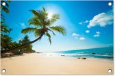 Tuindecoratie Strand - Zee - Zon - Palmboom - 60x40 cm - Tuinposter - Tuindoek - Buitenposter