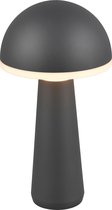 REALITY FUNGO - Tafellamp - Antraciet - incl. 1x SMD 2W - Aanpasbare lichtkleur - Traploos dimmbaar - Oplaadbaar - Snoerloos - Buitenverlichting - IP54