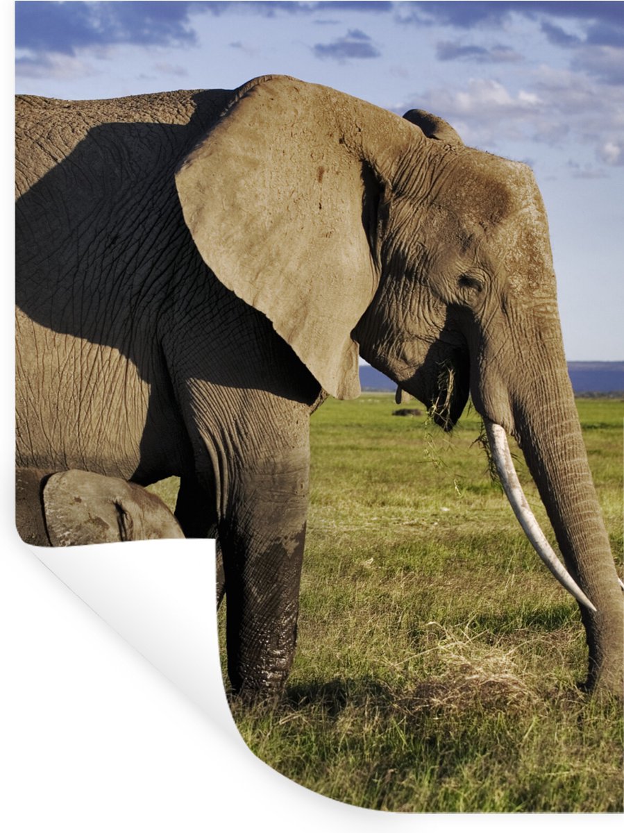 Muurstickers - Sticker Folie - Olifant - Dieren - Grasvlakte - Groen - Grijs - 60x80 cm - 