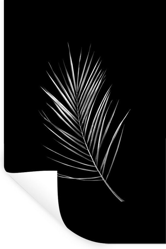 Muurstickers - Sticker Folie - Blad in de vorm van een veer op een zwarte achtergrond - zwart wit - 60x90 cm - Plakfolie - Muurstickers Kinderkamer - Zelfklevend Behang - Zelfklevend behangpapier - Stickerfolie