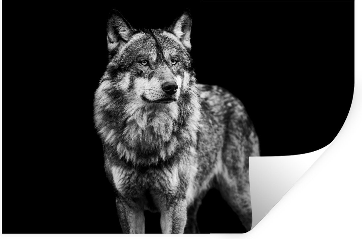 Muurstickers - Sticker Folie - Wolf - Dieren - Wild - Zwart - Wit - 90x60 cm - Plakfolie -