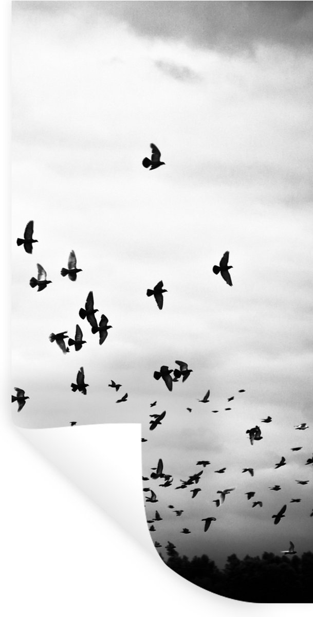 Muurstickers - Sticker Folie - Dieren - Vogels - Wolken - Zwart - Wit - 20x40 cm - Plakfol