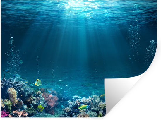 Stickers muraux - Sticker Foil - Océan - Poisson - Corail - 120x90 cm - Film Adhésif - Stickers muraux Chambre Enfant - Papier Peint Auto Adhésif