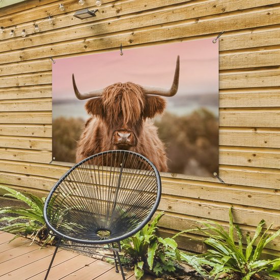 Affiche de jardin Vache - Highlander écossais - Animal - 120x80 cm - Jardin