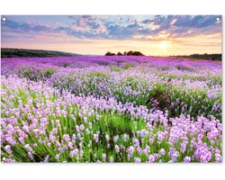 Tuinposter bloemen - Tuindecoratie lavendel paars - 120x80 cm - Tuinschilderij voor buiten - Tuindoek zonsondergang - Wanddecoratie tuin - Schuttingdoek - Balkon decoratie - Muurdecoratie natuur landschap - Buitenposter schutting