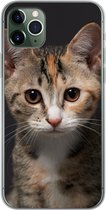 Geschikt voor iPhone 11 Pro Max hoesje - Kat - Zwart - Portret - Siliconen Telefoonhoesje