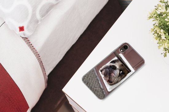 Coque iPhone XR - Chien - Drôle - Laisses pour chats - Siliconen - Sinterklaas - Noël - Cadeaux - Chaussures Cadeaux