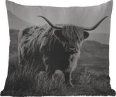 Buitenkussen Weerbestendig - Schotse hooglander - Natuur - Koeien - Dieren - Zwart wit - 50x50 cm