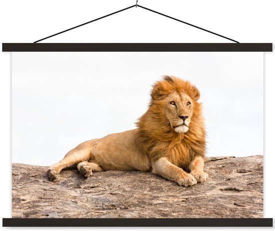 Affiche textielposter Lion couché 60x40 cm