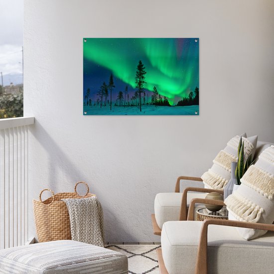 Posters de jardin Aurores boréales - Suède - Arbre - 90x60 cm