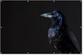 Muurdecoratie Vogel - Dieren - Zwart - 180x120 cm - Tuinposter - Tuindoek - Buitenposter
