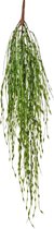 Greenmoods Kunstplanten - Kunstplant - Hangplant - Gras - Zijde - 76 cm