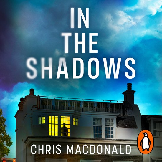 In The Shadows - cover