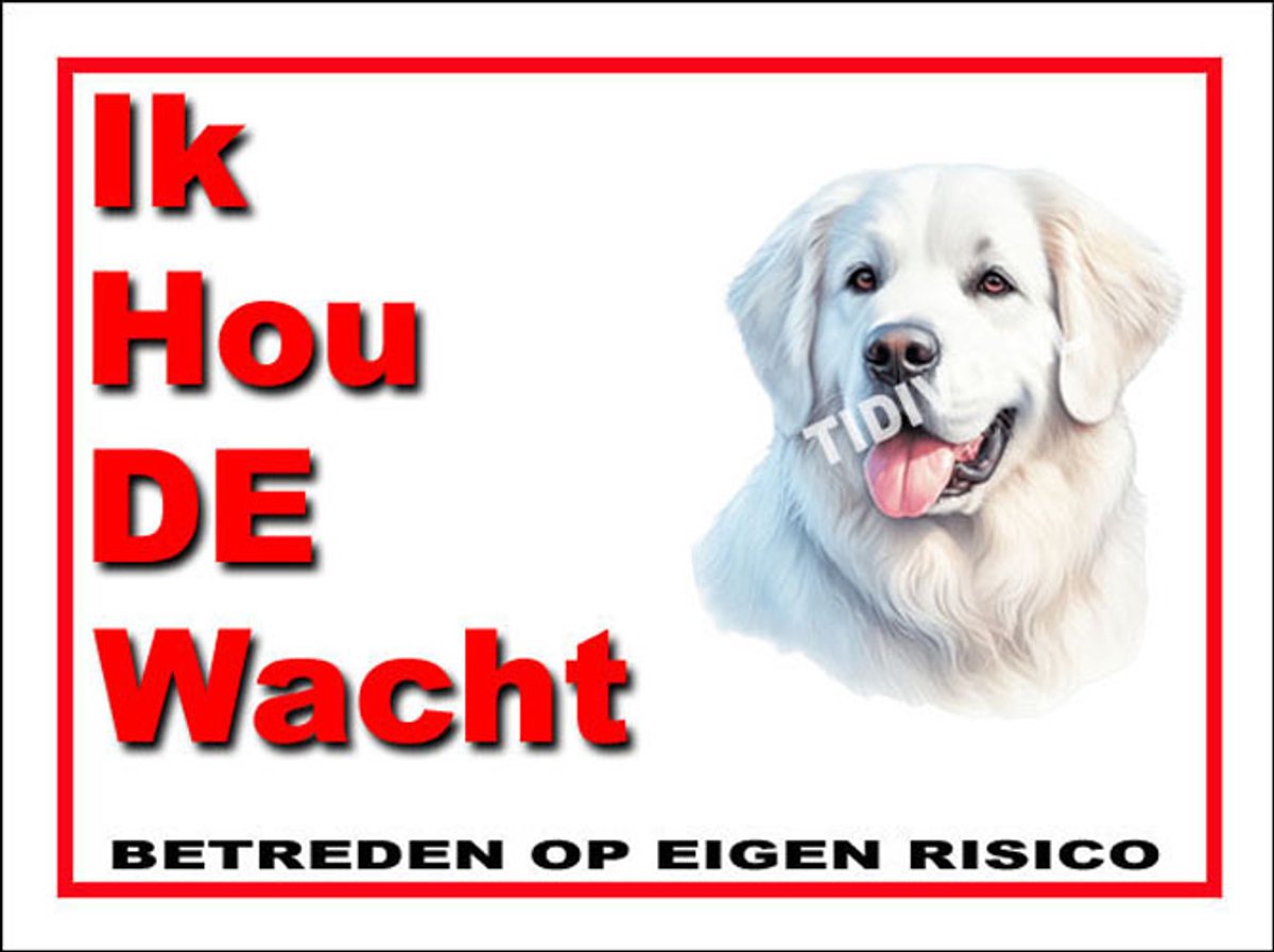 Kuvasz 7