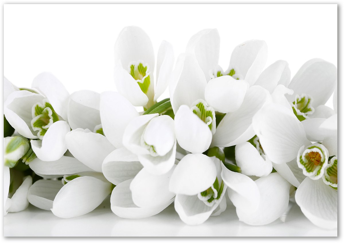 Tulup Panneaux De Cuisine Sur Verre - Fleurs De Printemps