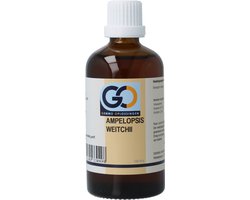 GO Ampelopsis weitchii bio 100 Milliliter