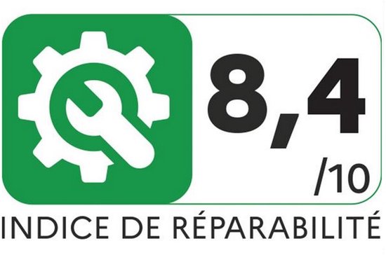 Rowenta Extenso Dry AC476901 aspirateur de table Noir, Marron, Argent Sans sac