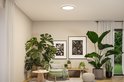 Rond Atria Shine LED paneel in woonkamer met veel planten.