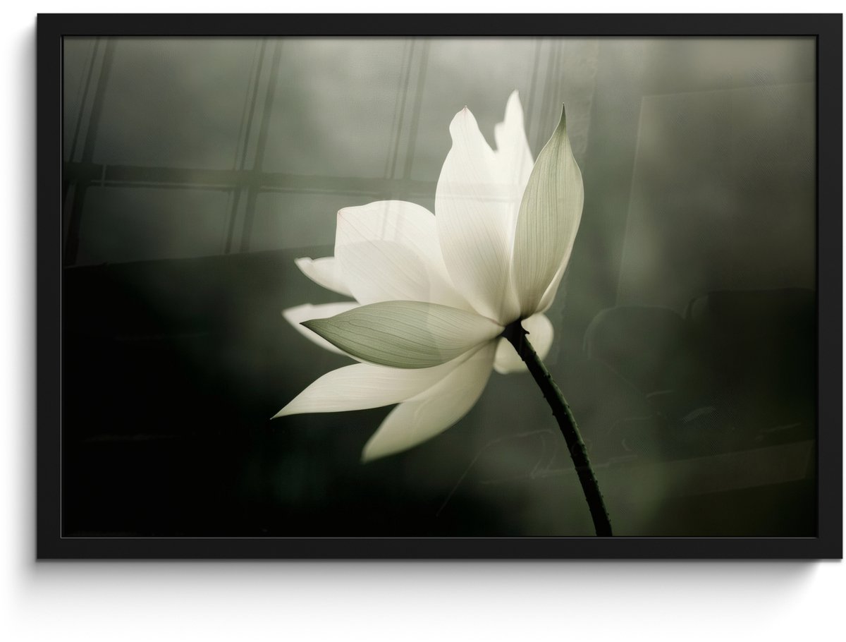 FrameYourWall Poster in lijst - Fotolijst 60x40 cm - Posters - Wit - Lotus - Donker - Bloem - Posterlijst zwart - Decoratie - Wanddecoratie woonkamer - Muurdecoratie slaapkamer Lotus - Bloem