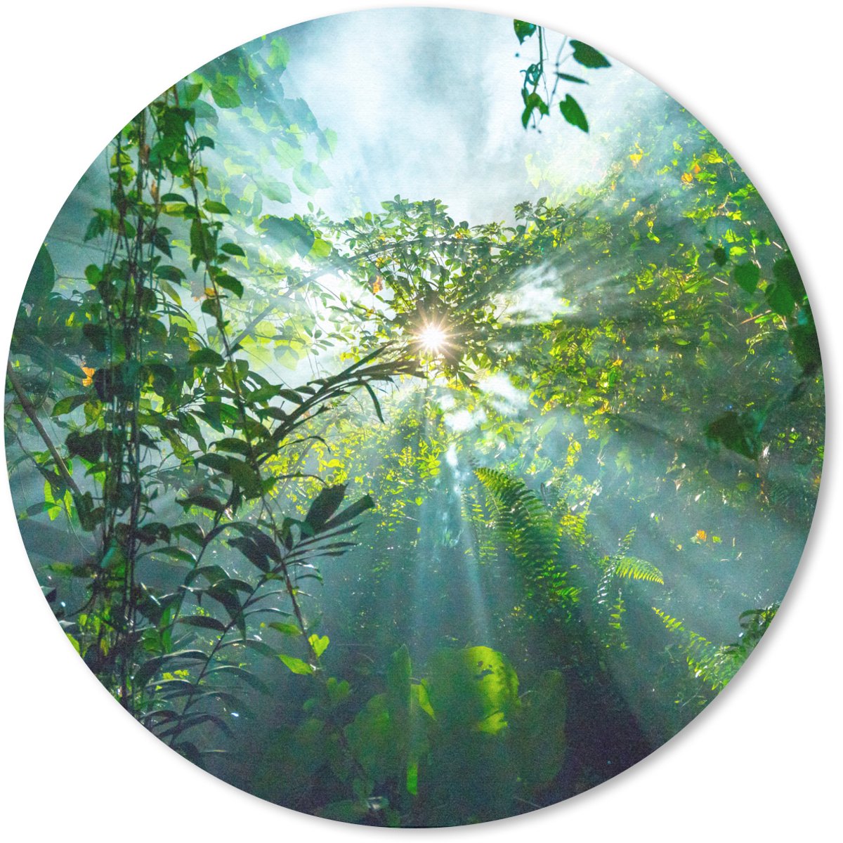 Muismat rond 30x30 cm - Mousepad De zon schijnend door de bossen van een regenwoud in Maleisië - Ronde muismatten