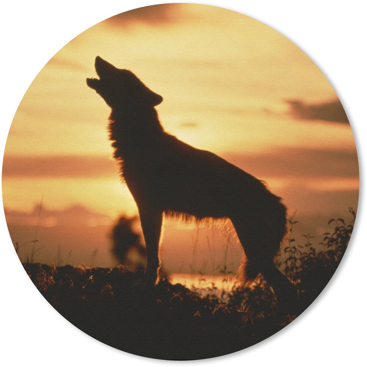 Muismat rond 40x40 cm - Mousepad Wolf - Zon - Silhouet - Ronde muismatten