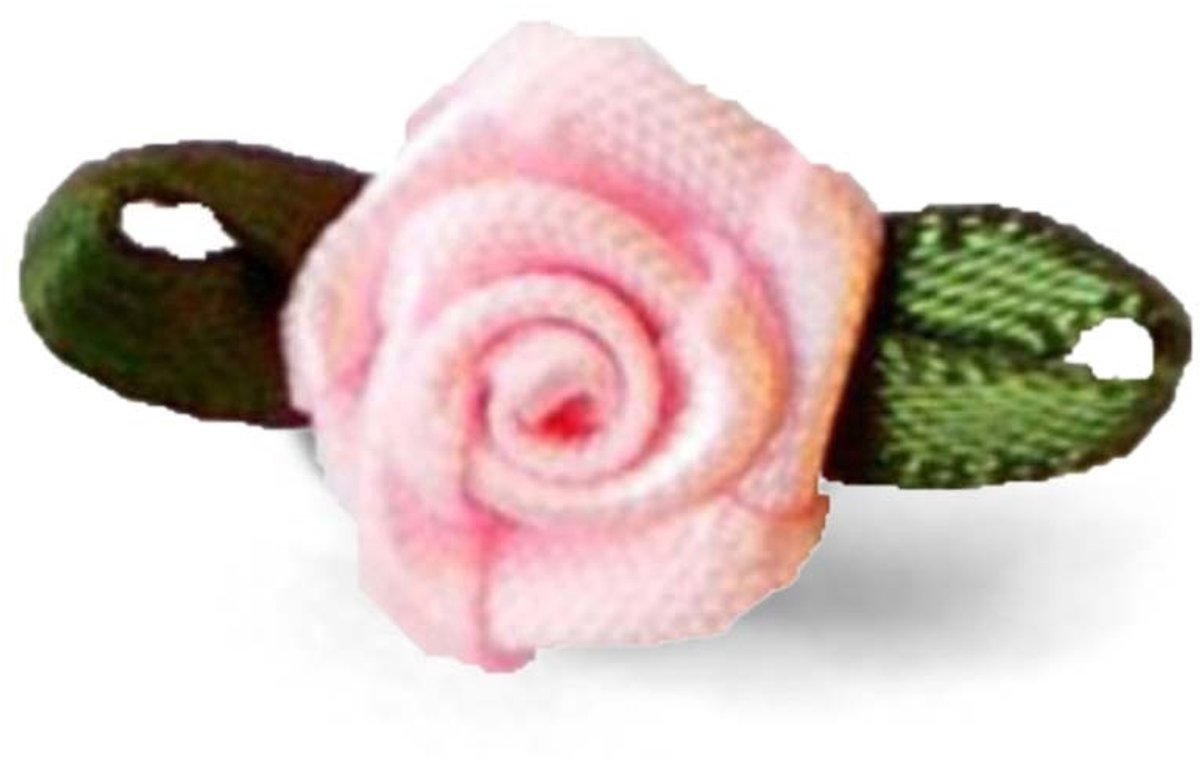 Roosjes zachtroze