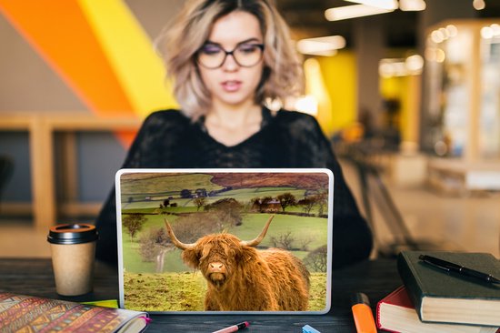 Autocollant pour ordinateur portable - 10,1 pouces - Highlander écossais - Berg - Automne - 25x18cm - Autocollants pour ordinateur portable - Peau pour ordinateur portable - Couverture