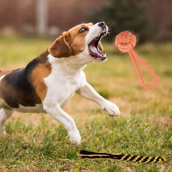 Nerf