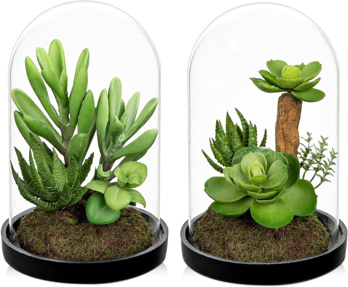 JGS Premium - Kunstmatige Planten - 2 Stuks Kunstmatige Succulenten in Glazen Fles Groene Planten voor Thuisdecoratie