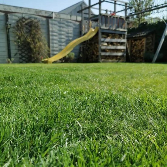 FLORASELF Gazon langwerkende meststof gazon 80 m² 2,5 kg kopen! | HORNBACH