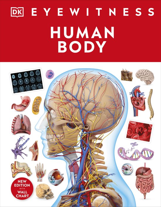 DK Eyewitness- Human Body