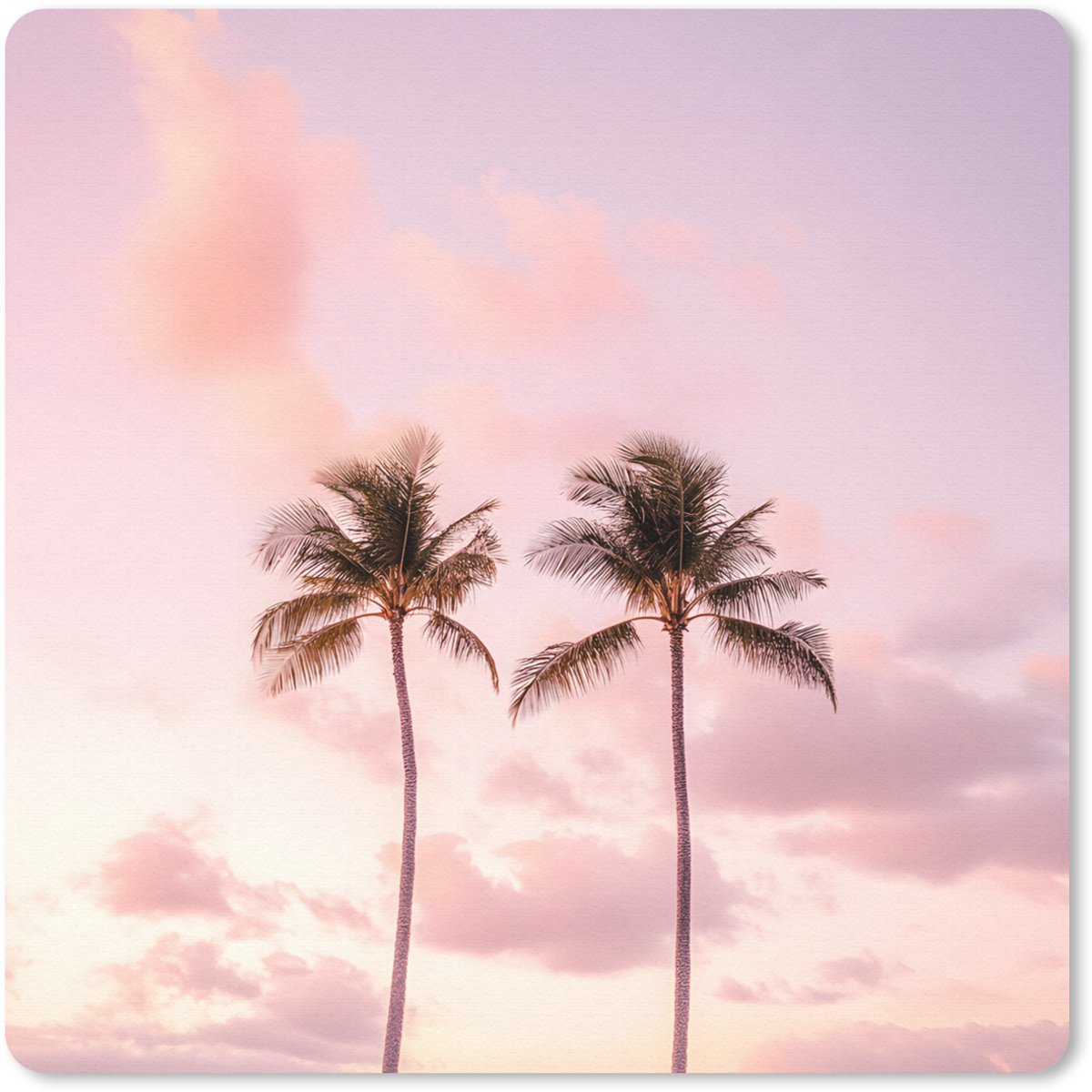 Muismat 30x30 cm - Mousepad Palmbomen - Paars - Wolken - Lucht - Muismatten