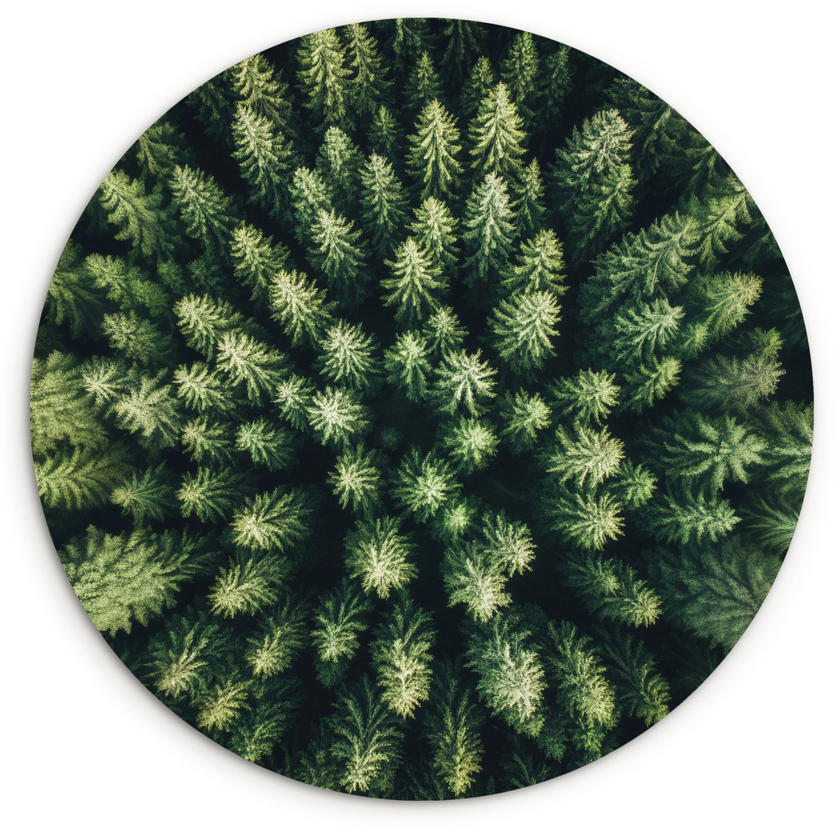 WallCircle Wandcirkel 30x30 cm - Muurcirkel Bomen - Naaldwoud - Structuur - Muurdecoratie woonkamer - Wanddecoratie slaapkamer - Kamer decoratie accessoires - Ronde schilderijen
