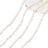 Allecto Plus - Perles de 155 Mini perles d'eau douce naturelles de 1,5 à 2 mm - Forme de riz - Fabrication de Bijoux - Couleur coquillage