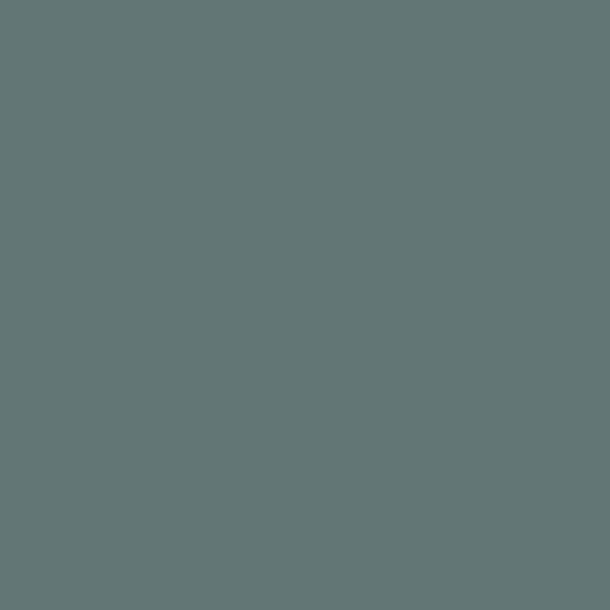 Levis Ambiance Laque - Colorfutures 2024 - Satiné - Calm Four - 1 L