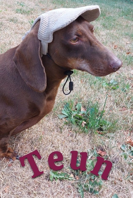 Honden Baseball Caps