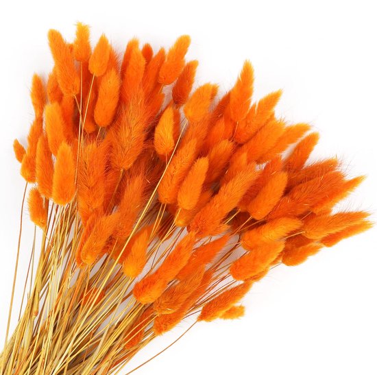 Plumes de Fleurs séchées style Boho Ibenzoa® pour Décoration naturelle et compositions florales - 120 pièces