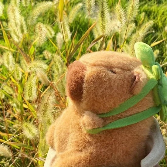 RCYHCY Capybara Pluche Dier, 20 cm Knuffeldier, Dragende Schildpad, Schattig en Simulatie Pluche, Groot Verjaardagscadeau voor Kinderen