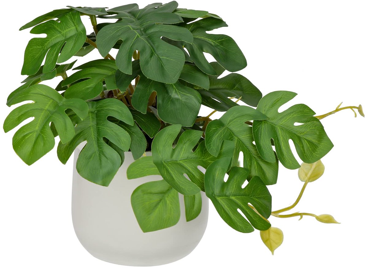 Ibenzoa® Kunstmatige Hangplanten in Stijlvolle Keramische Pot voor Huisdecoratie en Kantoorverfraaiing