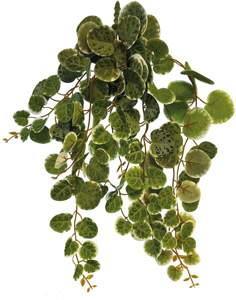 Plant hanging Round Leaves - Kunstplant Terrarium