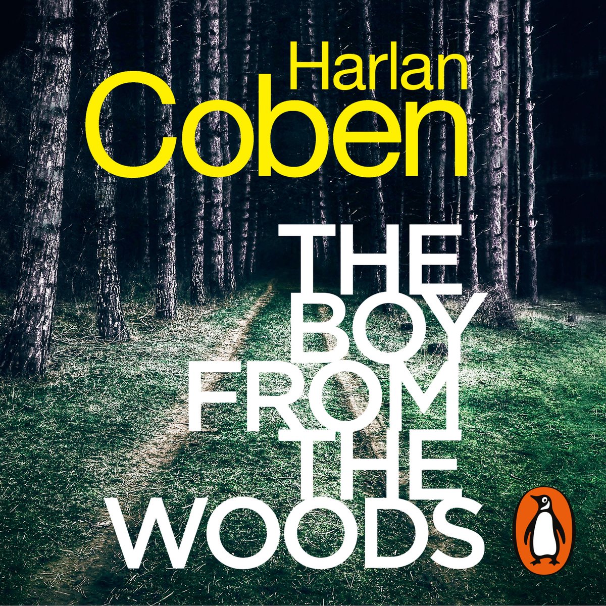 Omslag van The Boy from the Woods