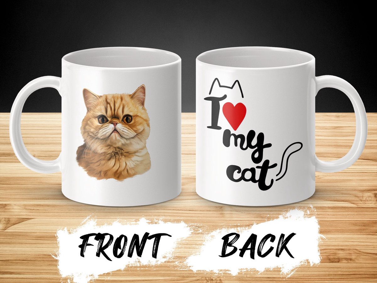 Mok Exotic Shorthair cat - kat - I love my cat - cat lovers - katten