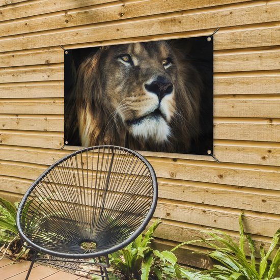 Tuinposter 90x60 cm - Tuindecoratie Leeuw - Vacht - Zwart - Poster voor in de tuin - Buiten decoratie - Schutting tuinschilderij - Tuindoek muurdecoratie - Wanddecoratie balkondoek