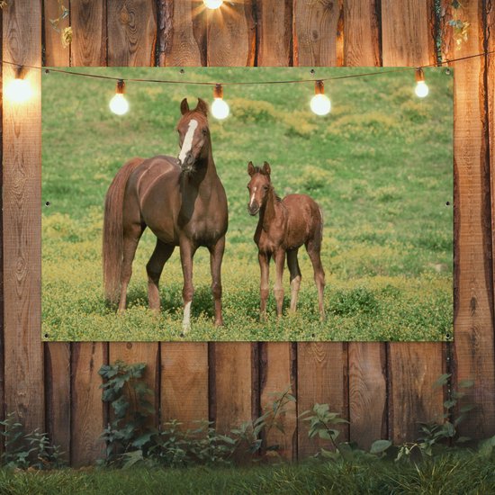 Décoration murale murale Paarden - Herbe - Marron - 180x120 cm - Affiche de jardin - Toile de jardin - Poster extérieur