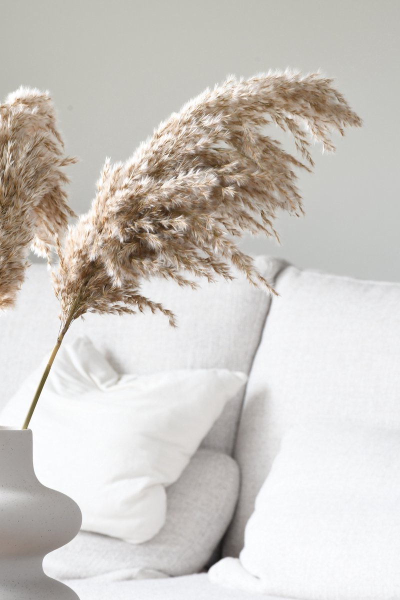 Pampas pluimen | 10 stuks | Pampasgrass| Droogbloemen | 100 cm| Boeket decoratie pluimen | Woondecoratie | Decoratie | Luxury Living | Rietpluimen